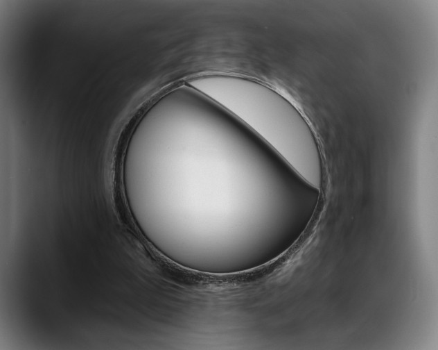 X0000089380199200706150918