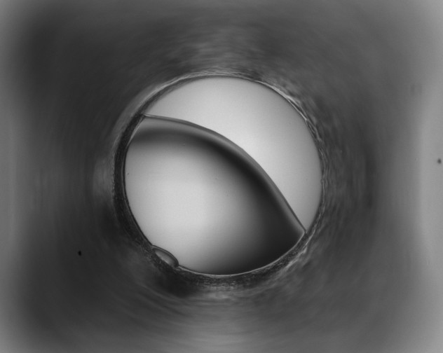 X0000089380200200706150918
