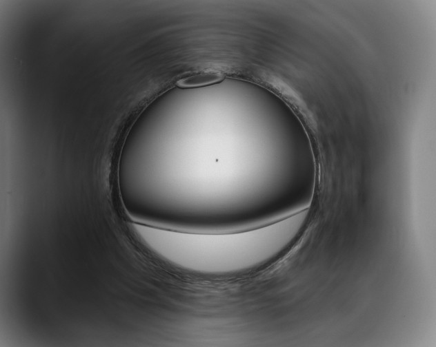X0000089380201200706150918