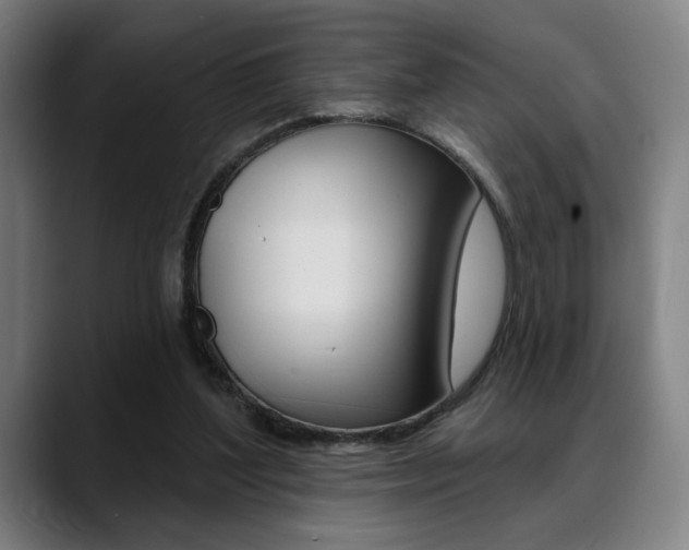 X0000089380204200706150918
