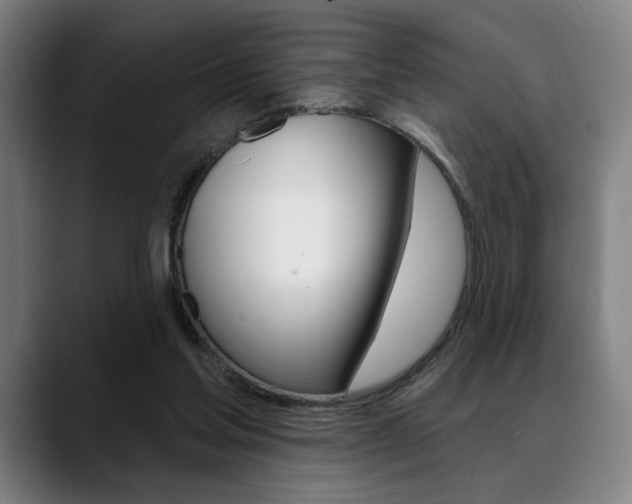 X0000089380205200706150918