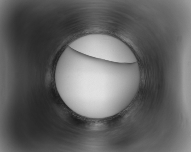 X0000089380208200706150918
