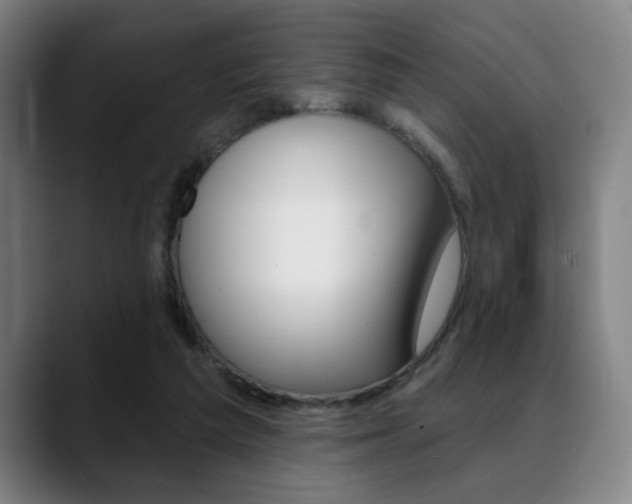 X0000089380209200706150918