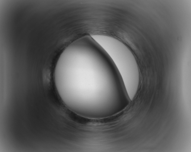 X0000089380211200706150918