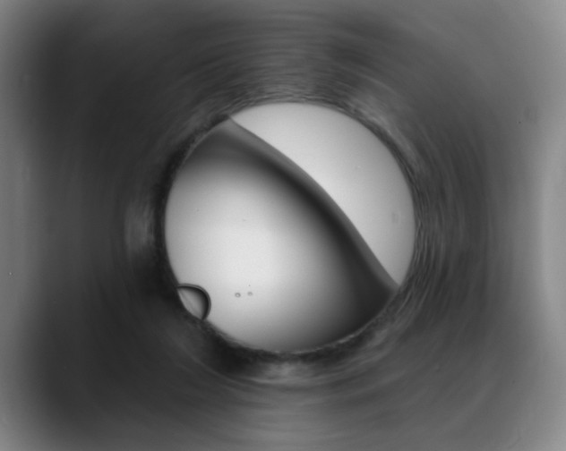 X0000089380212200706150918