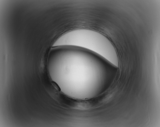 X0000089380215200706150918