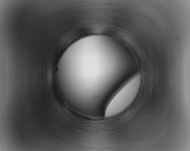 X0000089380216200706150918