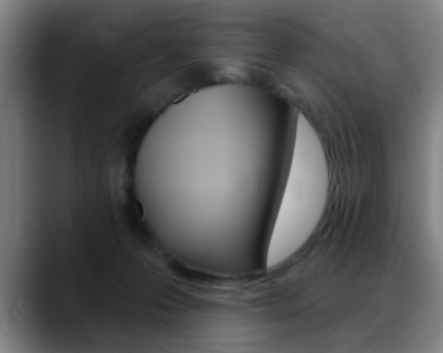 X0000089380223200706150918