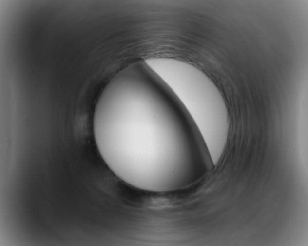 X0000089380224200706150917
