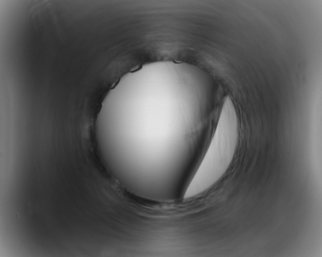 X0000089380225200706150917