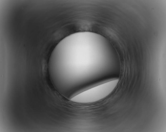 X0000089380228200706150917
