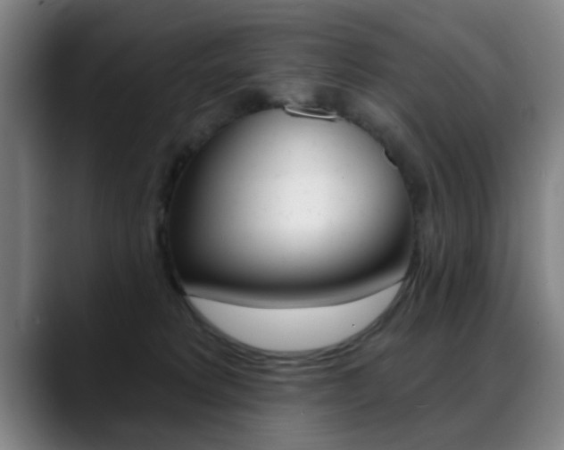 X0000089380229200706150917
