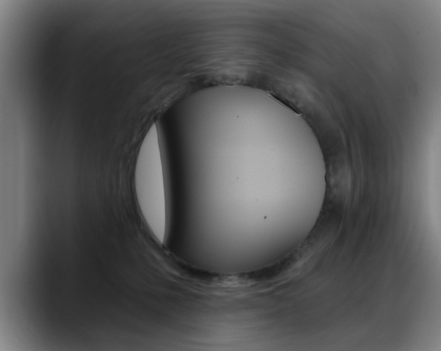 X0000089380231200706150917