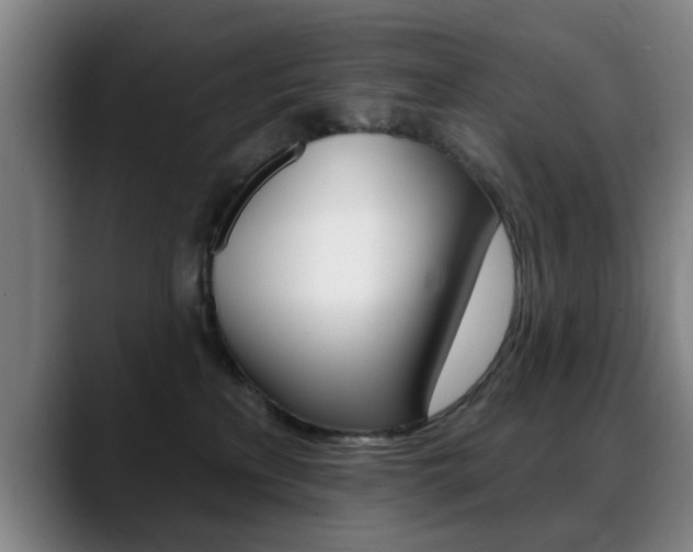X0000089380233200706150917