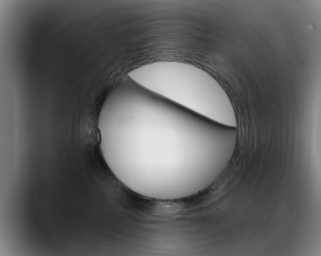 X0000089380234200706150917