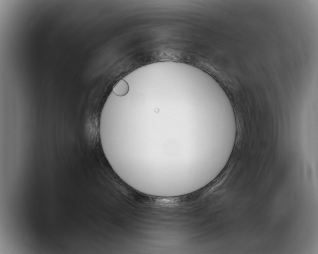 X0000089380240200706150917