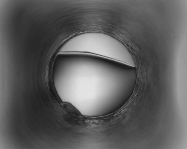 X0000089380242200706150917