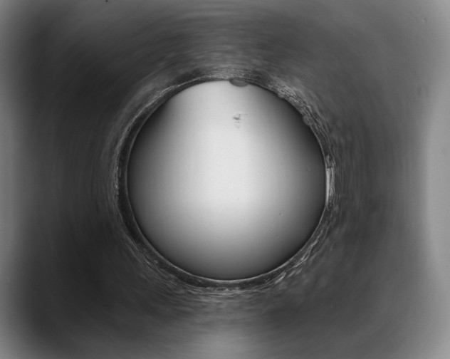 X0000089380243200706150917