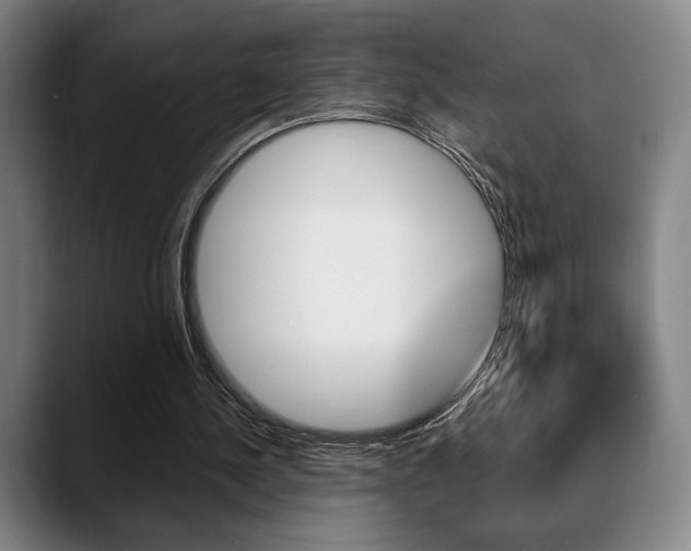 X0000089380244200706150917