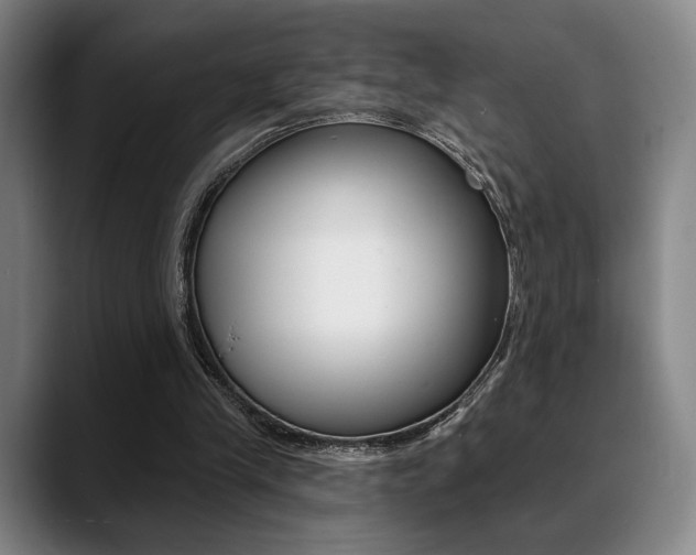 X0000089380245200706150917