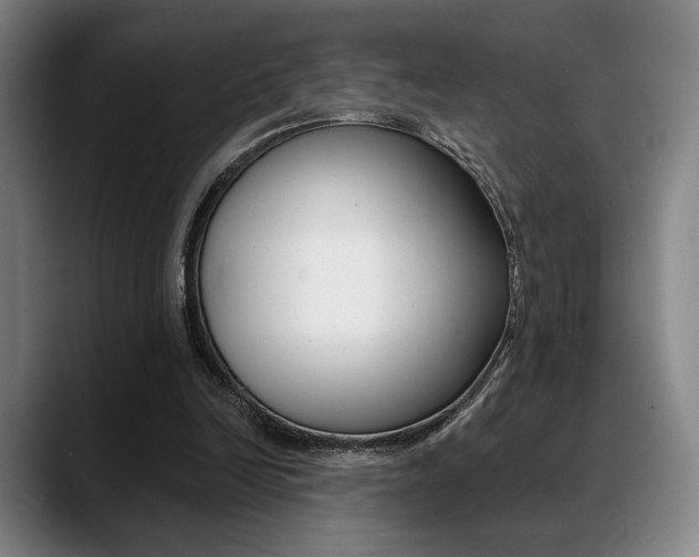 X0000089380246200706150917