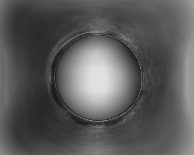 X0000089380247200706150917
