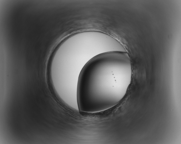 X0000089380248200706150917