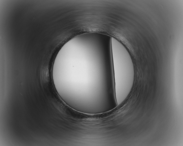X0000089380251200706150917