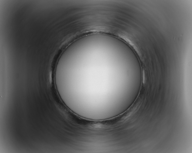 X0000089380253200706150917