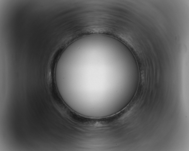 X0000089380254200706150917