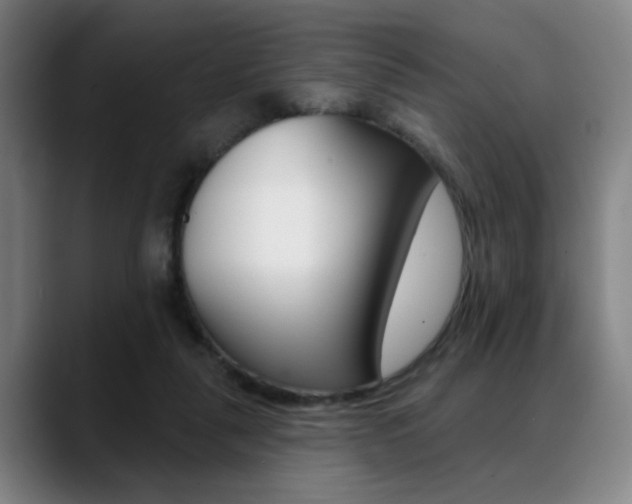 X0000089380259200706150917
