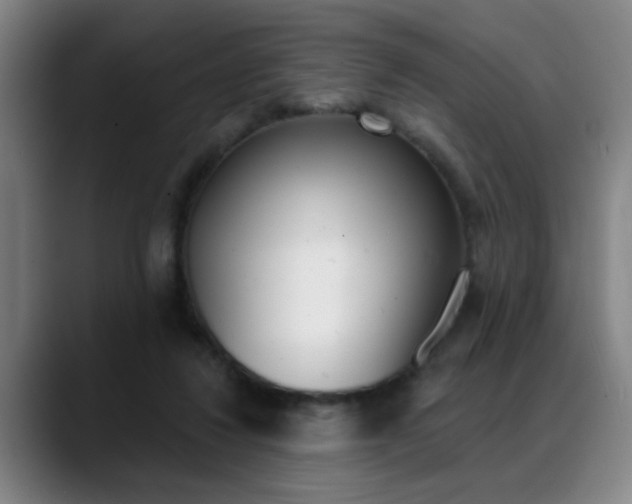 X0000089380260200706150917