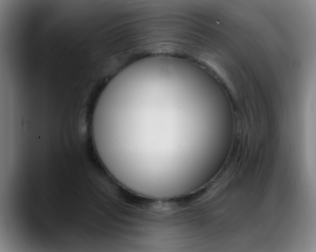 X0000089380261200706150917