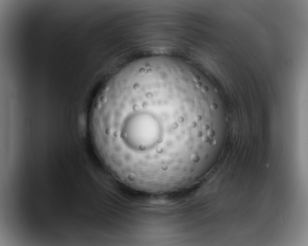 X0000089380262200706150917