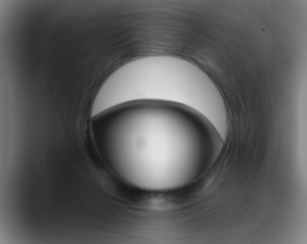 X0000089380264200706150917
