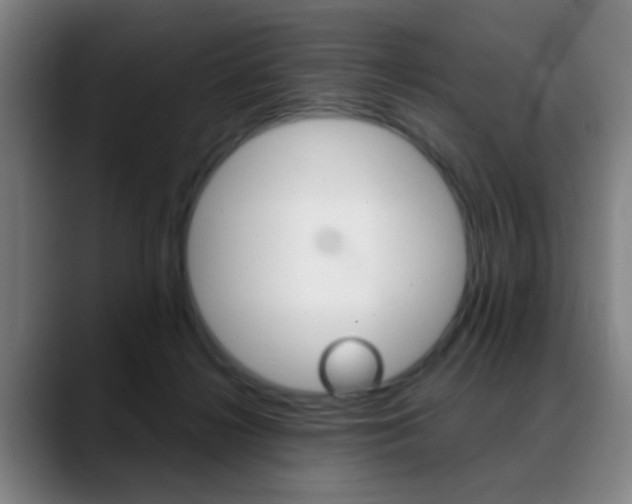 X0000089380268200706150917