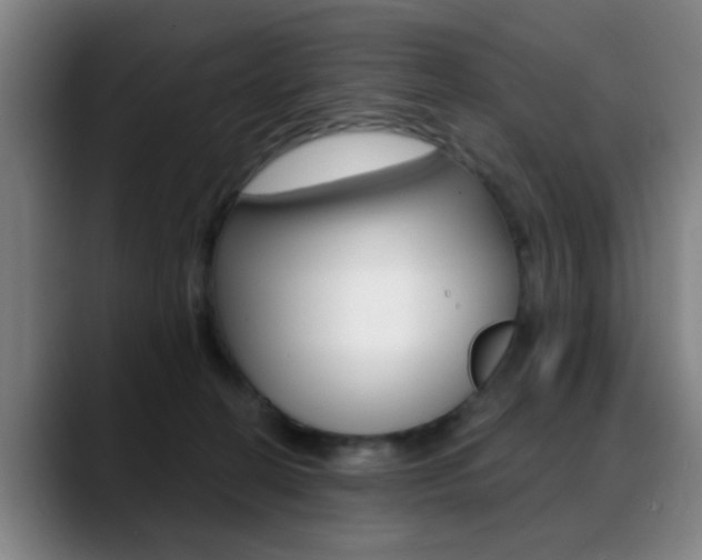 X0000089380274200706150917