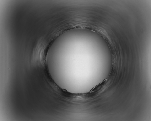 X0000089380285200706150917