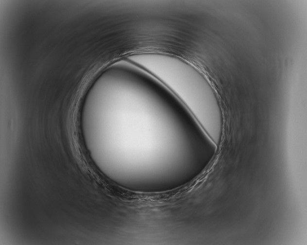 X0000089380289200706150917