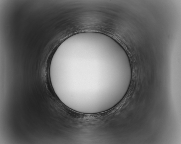 X0000089380290200706150917
