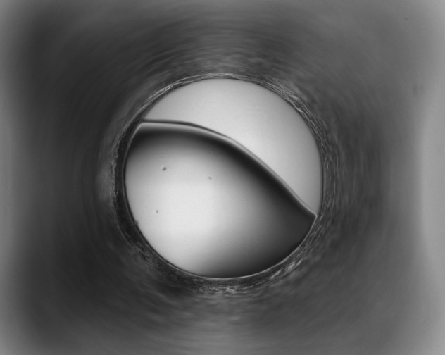 X0000089380291200706150917