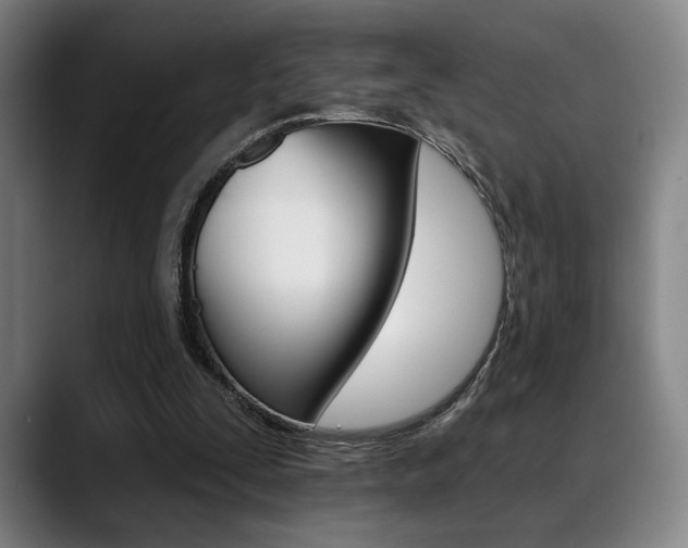 X0000089380295200706150917