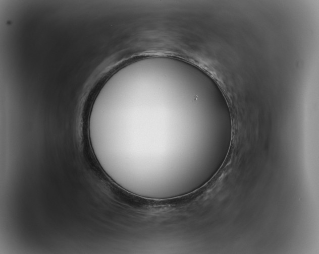 X0000089380296200706150917