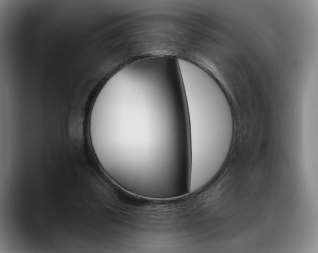 X0000089380299200706150917