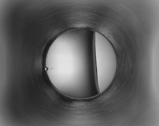 X0000089380300200706150917