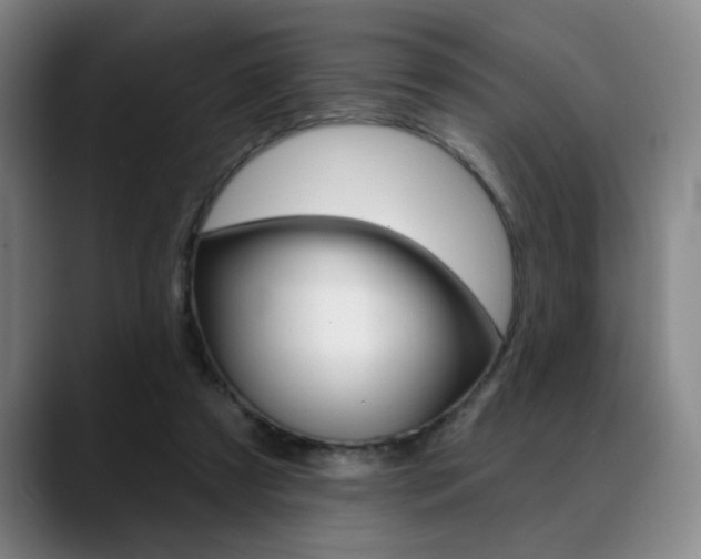 X0000089380305200706150916