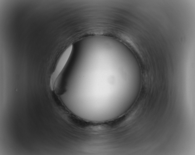 X0000089380307200706150916