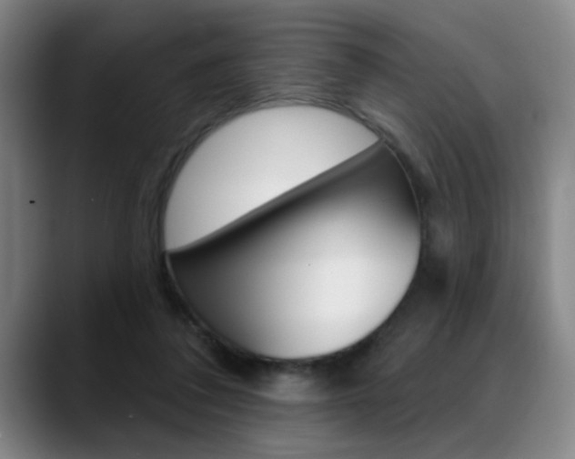 X0000089380308200706150916