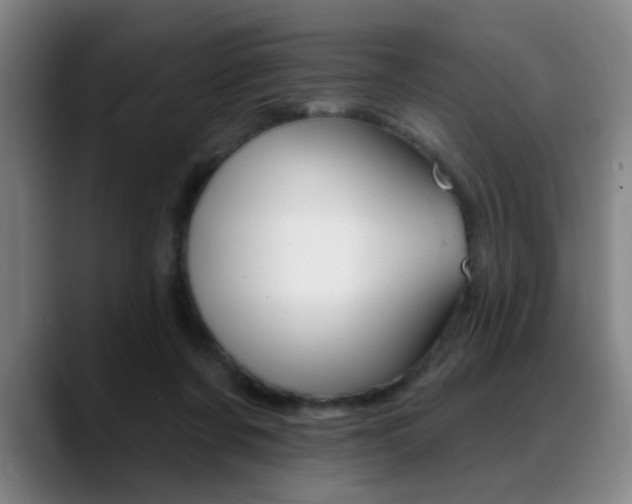 X0000089380311200706150916