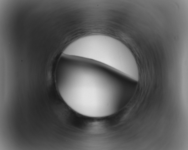 X0000089380312200706150916